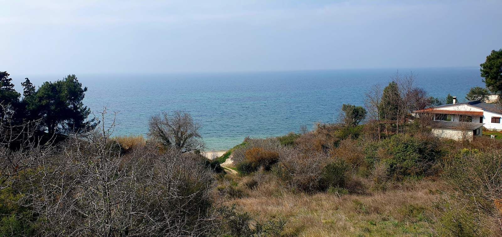 6200 m² Parcel