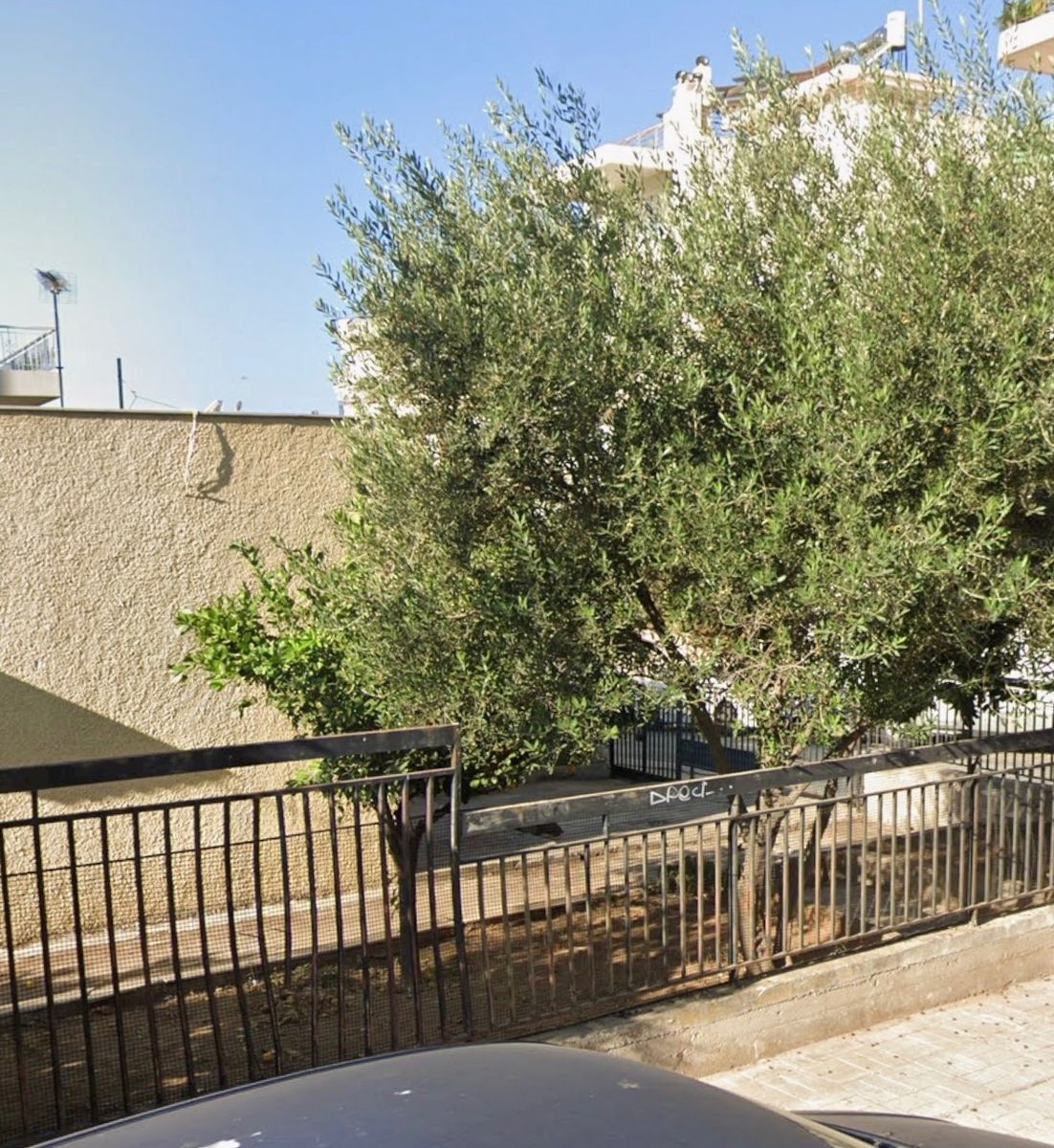222 m² Plot