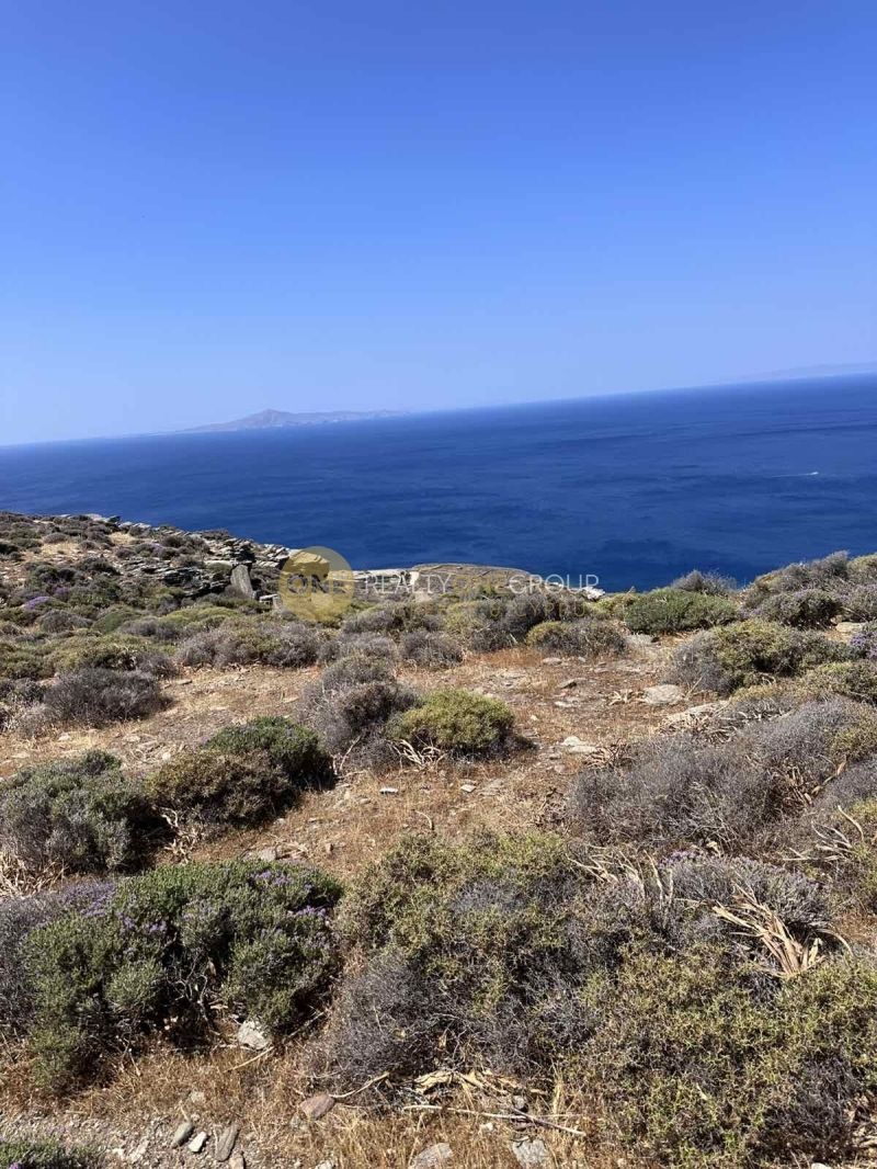 Οικόπεδο 3000 τ.μ.