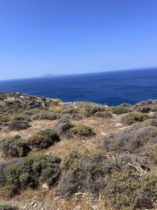 3000 m² Plot