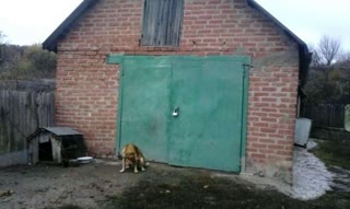 Продам дом в Изюме