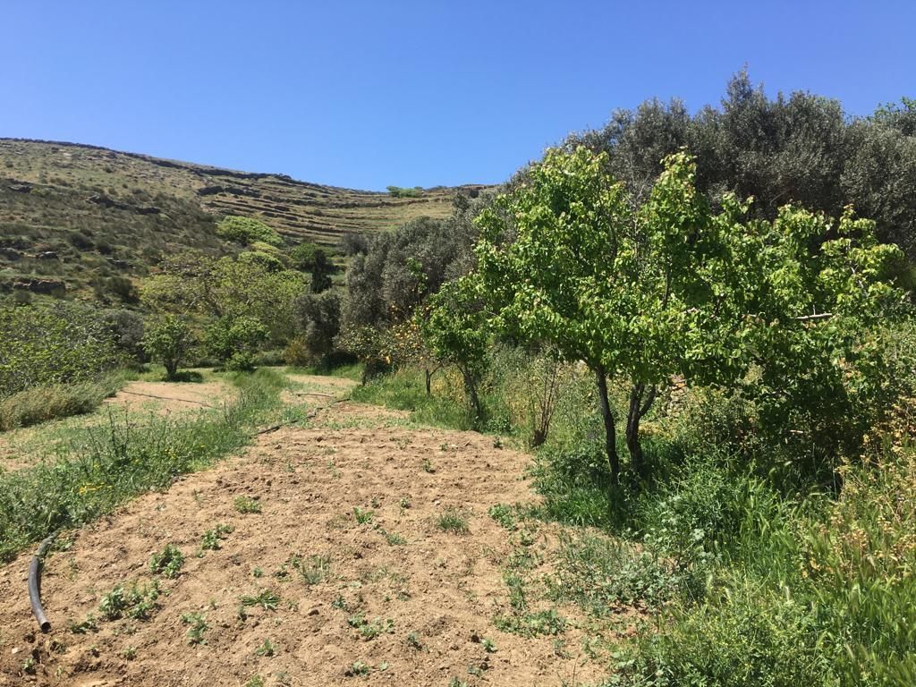 15978 m² Parcel