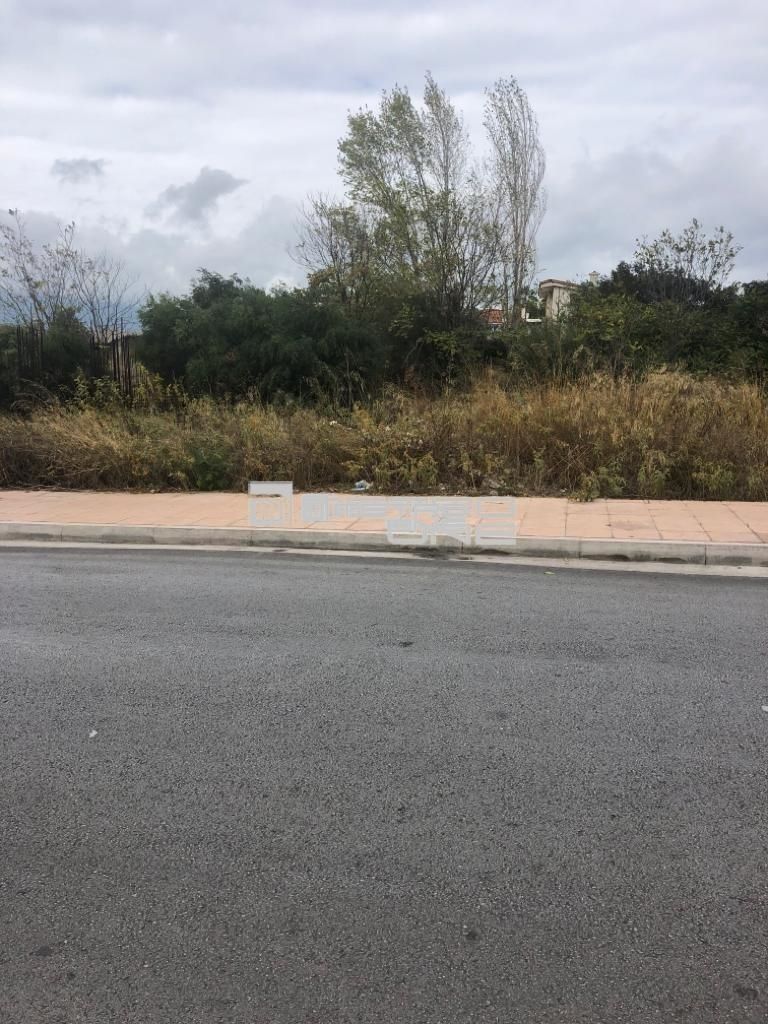 Οικόπεδο 2655 τ.μ.