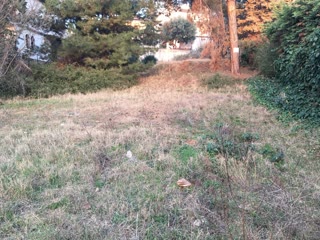 1000 m² Plot