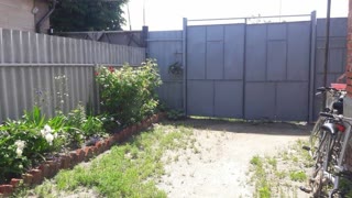 Продається будинок з великою територією