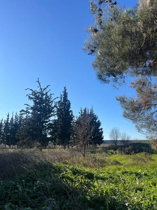 Участок 36071 м²