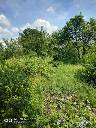 for sale plot
