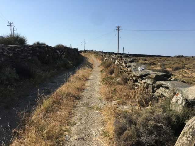 12500 m² Parcel
