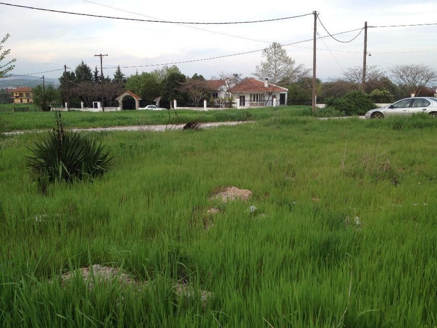 570 m² Plot