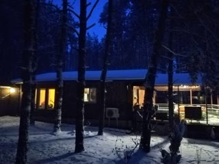 Продам будинок в сосновому лісі