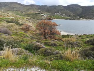 8500 m² Plot