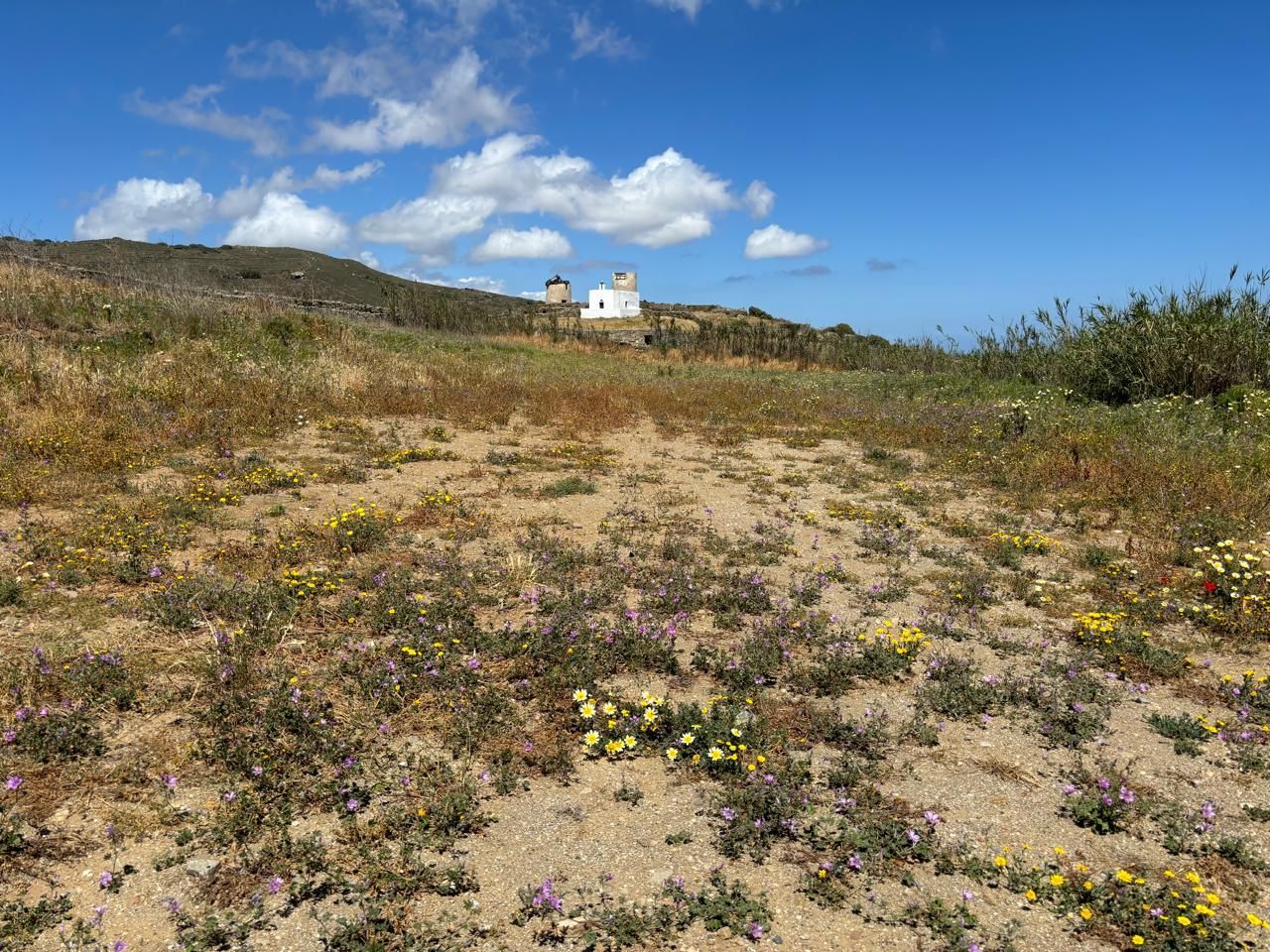 2240 m² Plot
