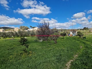 2039 m² Plot