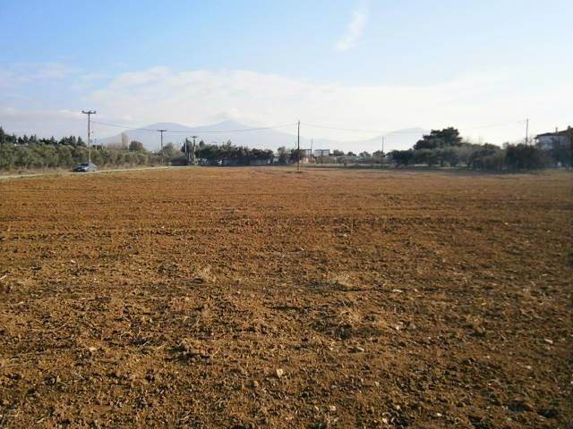 Участок 23525 м²