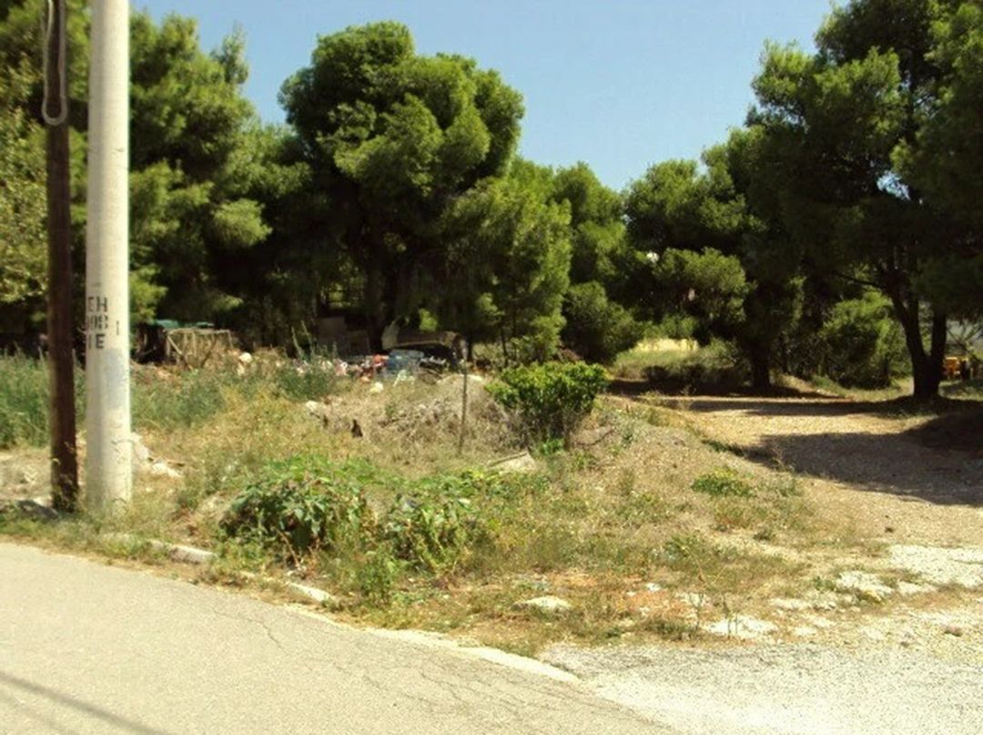 Οικόπεδο 1577τ.μ.