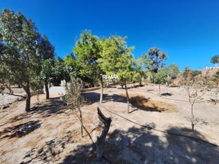 2648 m² Plot