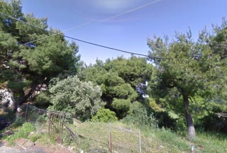 700 m² Plot