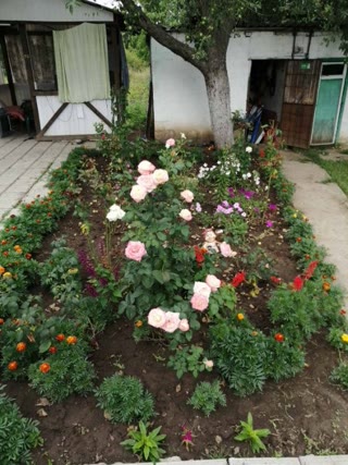Продам дачу в Старому Салтові Печенізьке водосховище