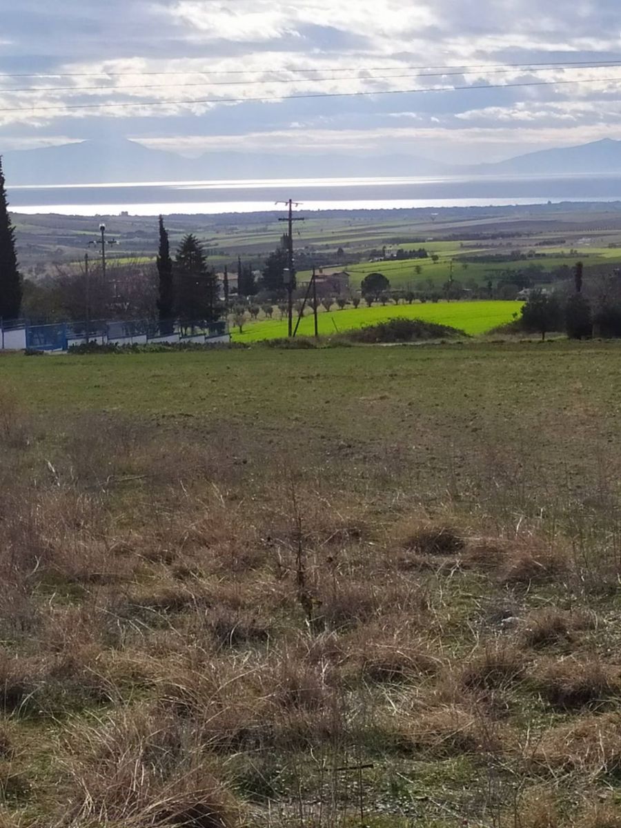 6250 m² Parcel