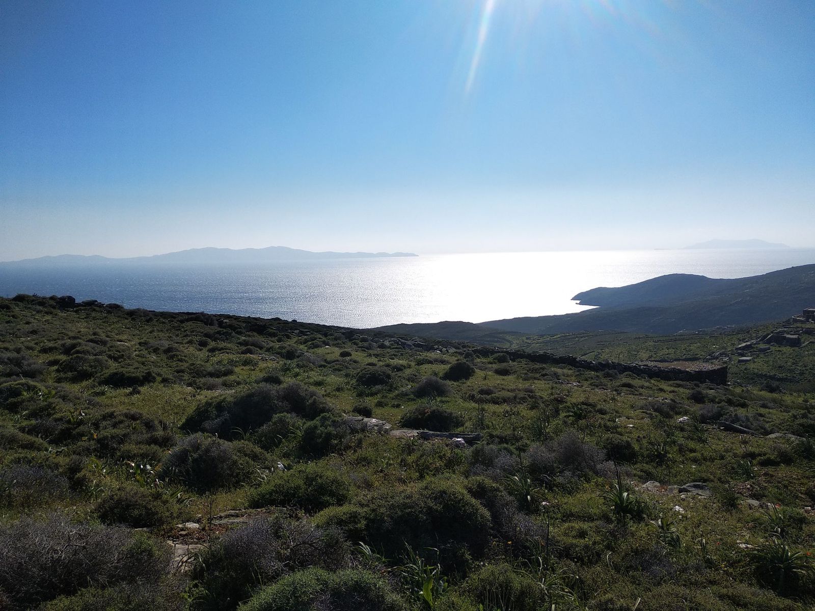 12500 m² Parcel