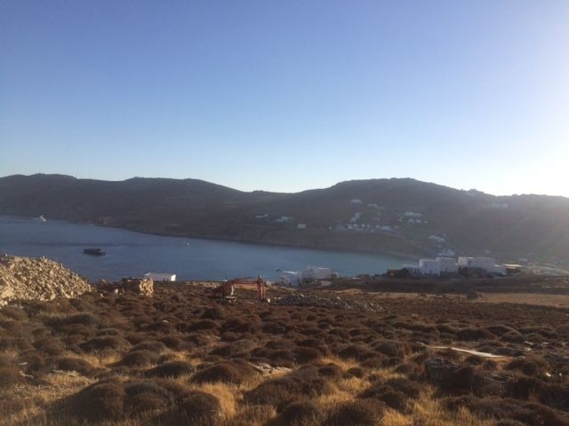20000 m² Plot