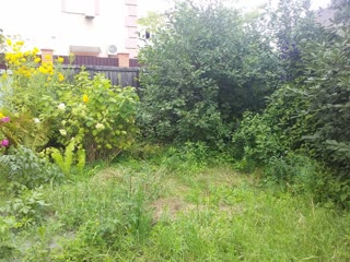 Продаж будинку в Шевченківському районі Києва