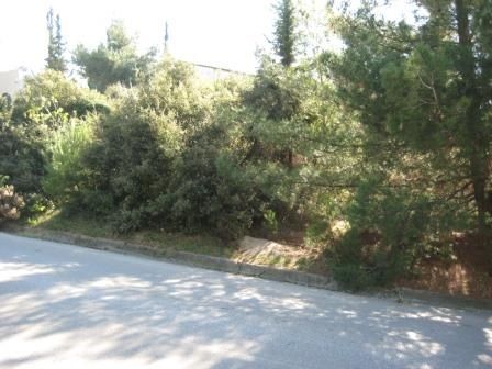 1000 m² Plot