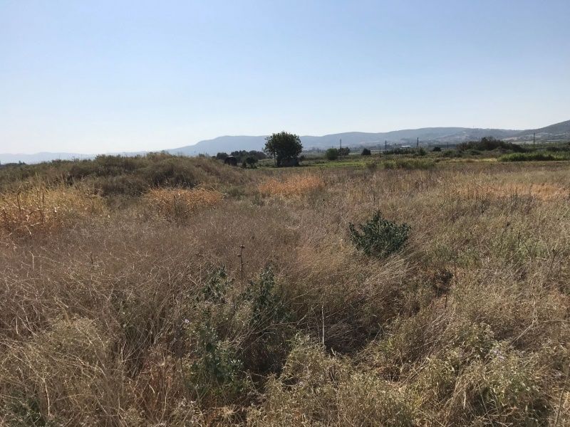 Αγροτεμάχιο 4200 τ.μ.