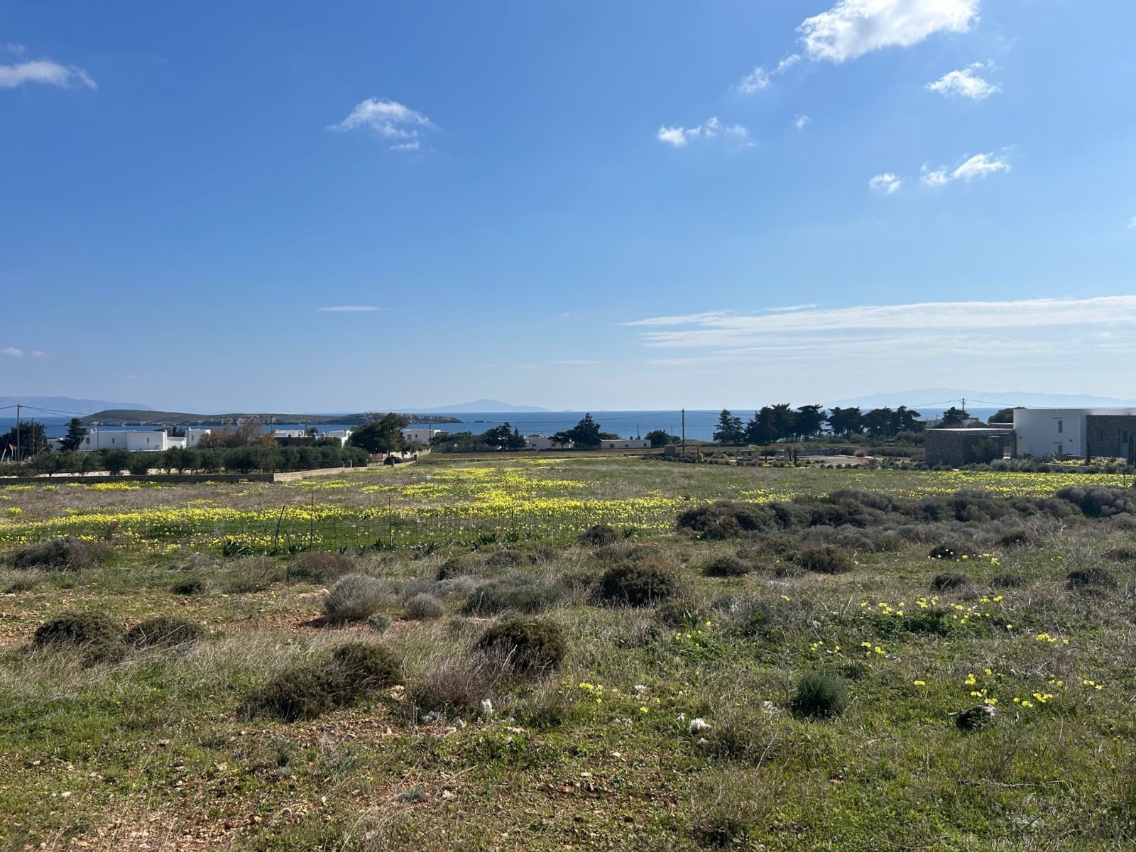 Αγροτεμάχιο 6200τ.μ.