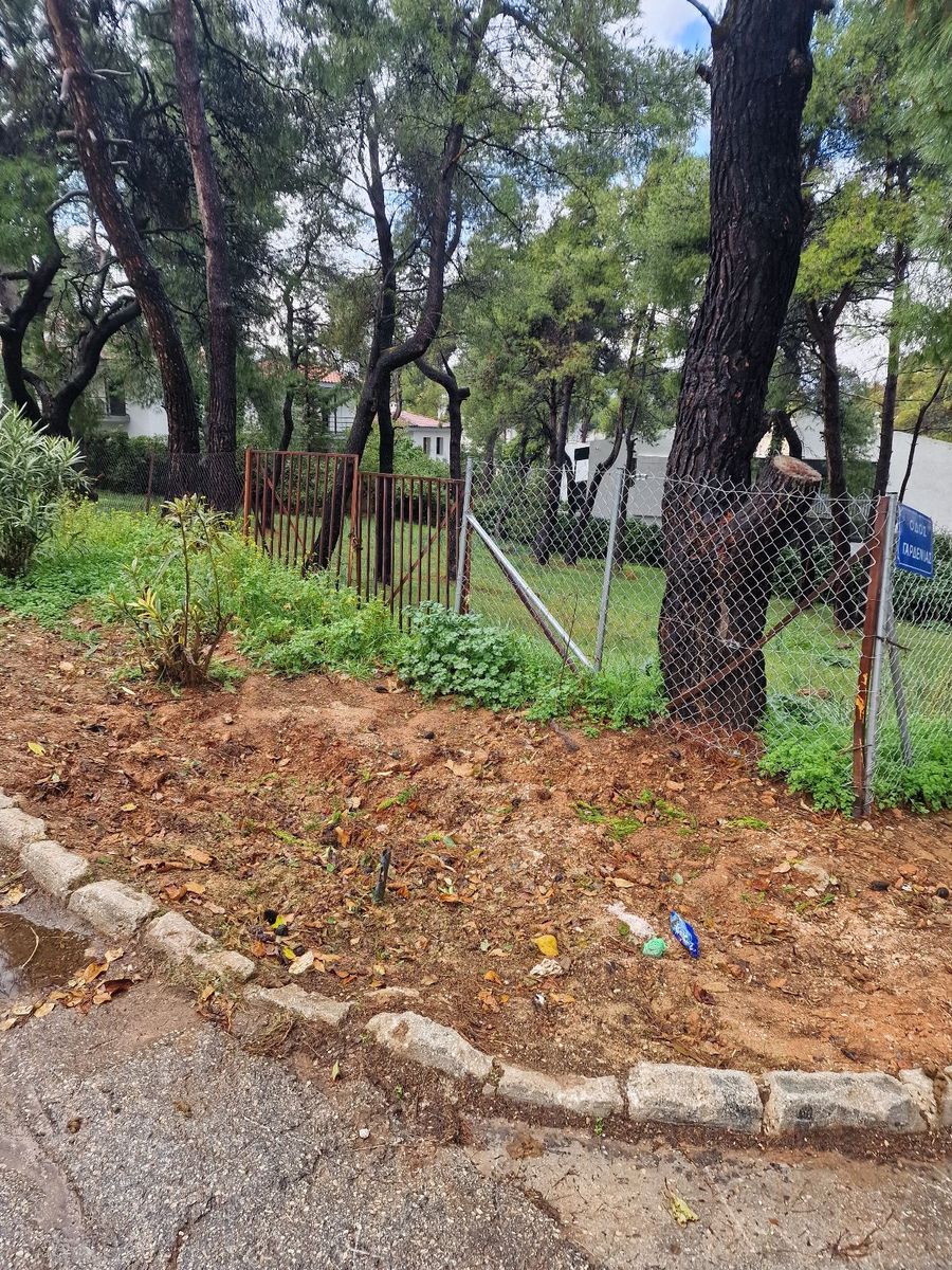 Οικόπεδο 1100τ.μ.