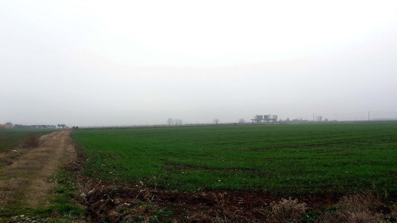 5000 m² Parcel