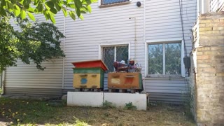 Оренда будинку 160 м2 Осокорки