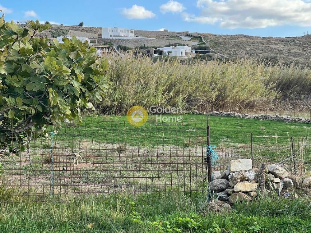 4300 m² Plot
