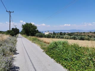 Αγροτεμάχιο 6001 τ.μ.