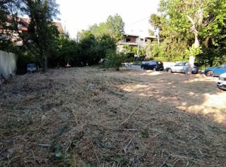 350 m² Plot