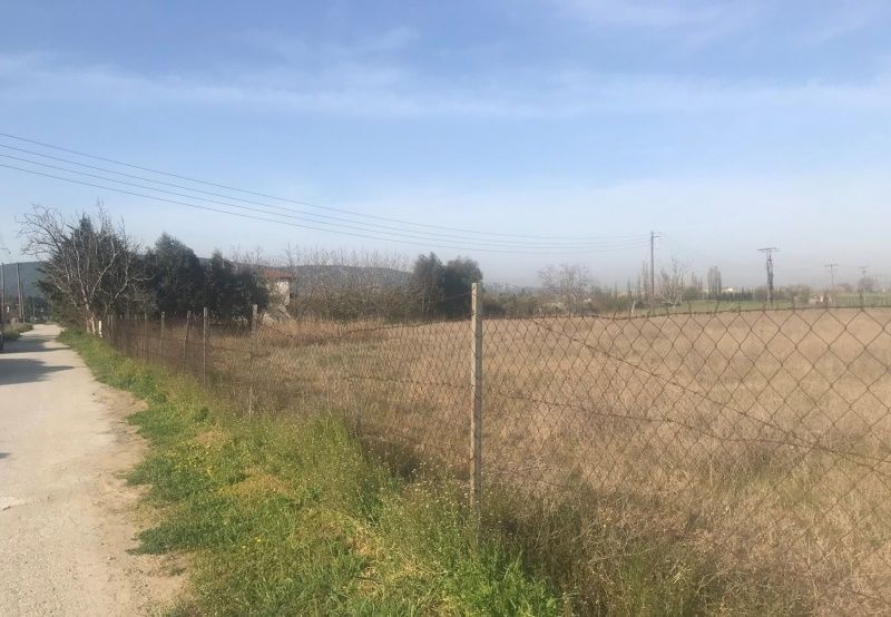 5180 m² Parcel