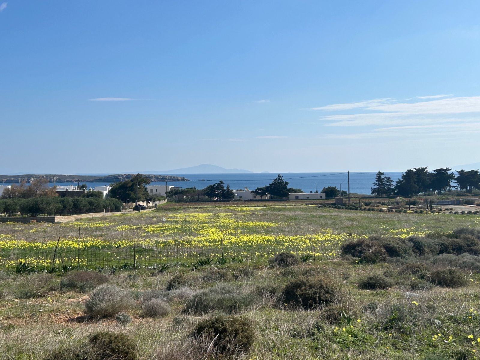 Αγροτεμάχιο 6200τ.μ.