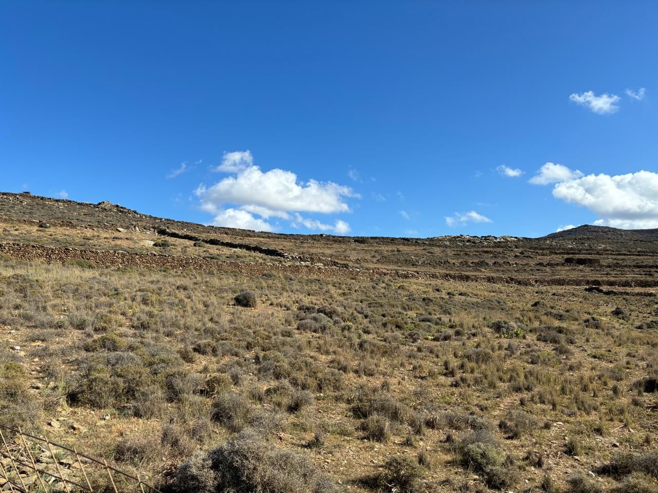 7557 m² Parcel
