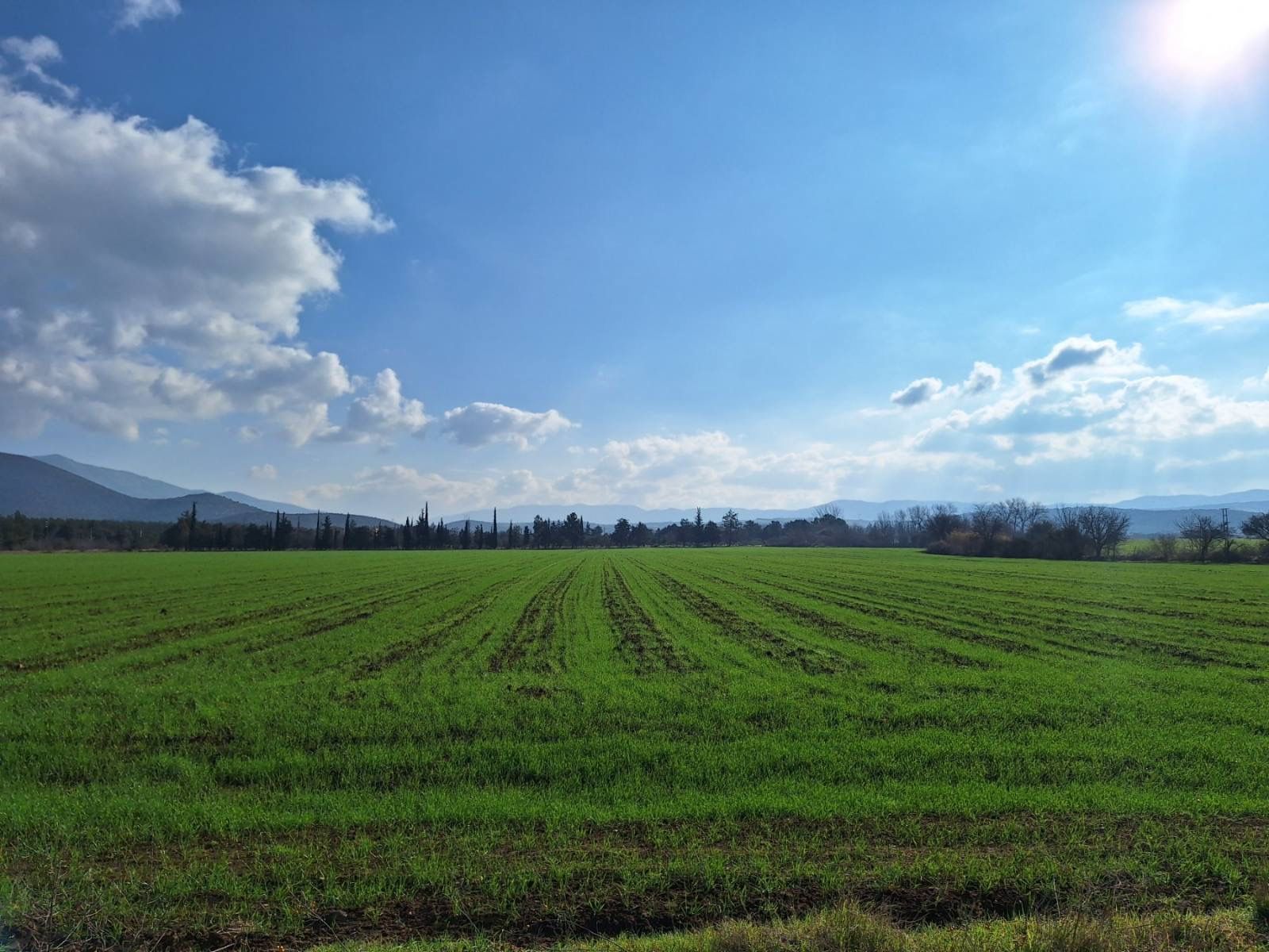 60000 m² Parcel