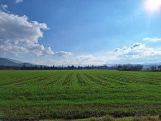 60000 m² Parcel