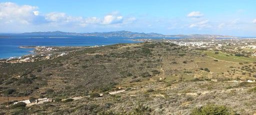 Αγροτεμάχιο 8000τ.μ.