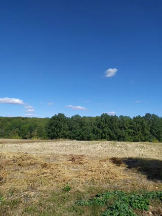 Land plot. 24 acres 45 km from Kharkiv village Rogovka, There is a fruit orchard on the plot