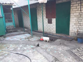 Продам дом в Новой Водолаге  id_43452767