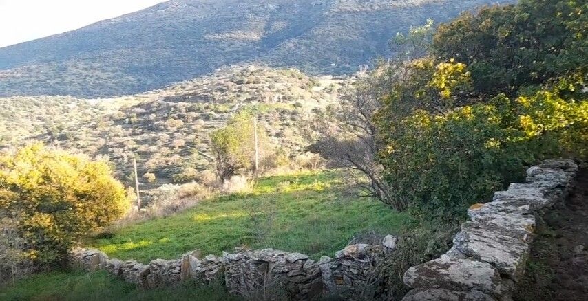 2300 m² Plot