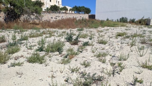 615 m² Plot