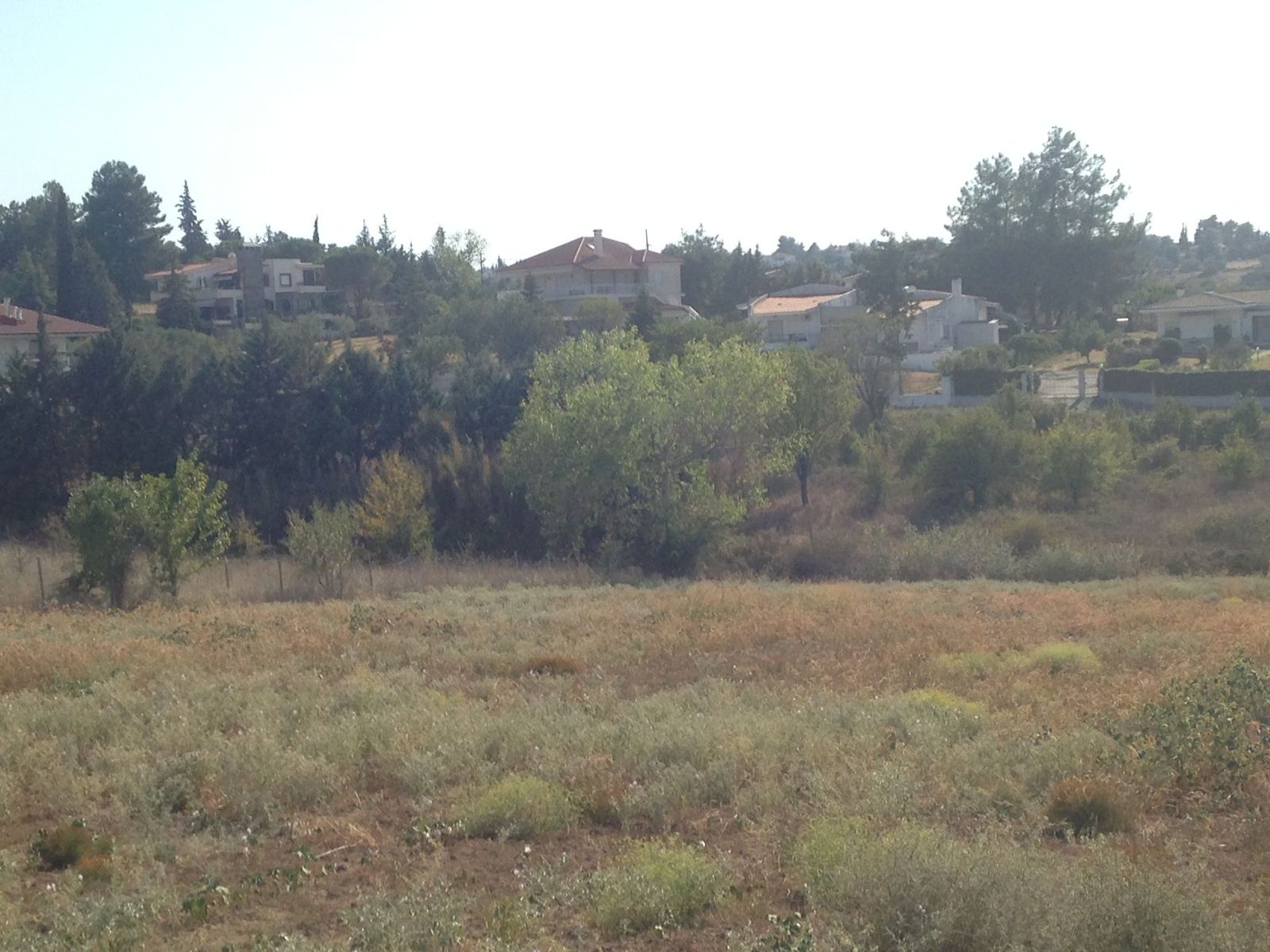 5000 m² Parcel