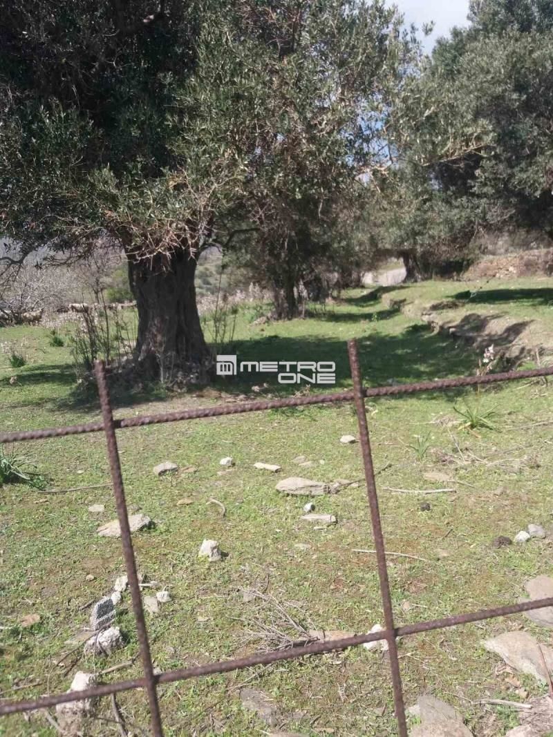 Αγροτεμάχιο 6932 τ.μ.