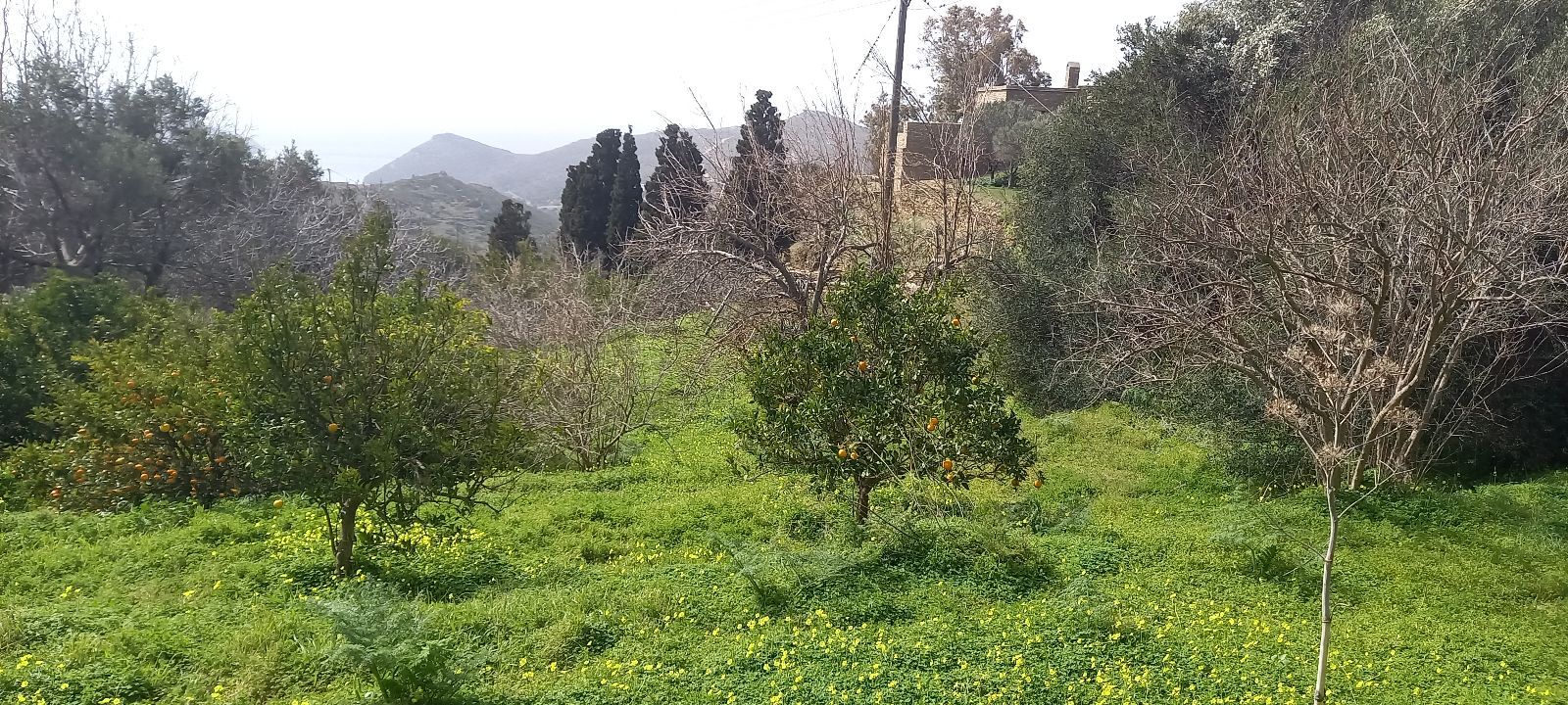 Οικόπεδο 2617 τ.μ.