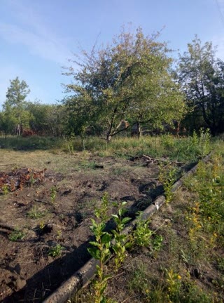 Dacha plot, 20km from Kharkiv, direction Stary Saltiv, 12 acres