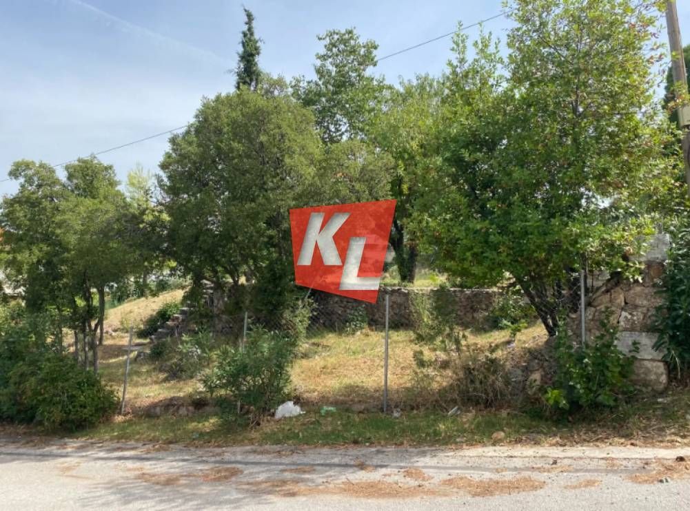 Οικόπεδο 833τ.μ.